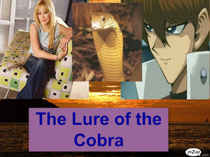  The Lure of the kobra, cobra