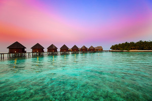  The Maldives
