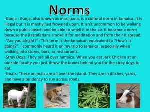  The Norms Of Jamaica