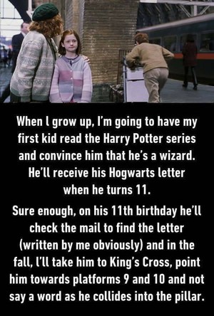  Trolling level: Harry Potter