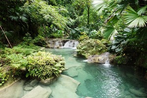  Waterfalls Of Jamaica
