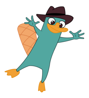  daily perry 23