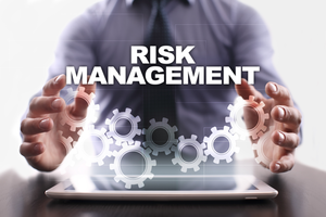  risk management expert