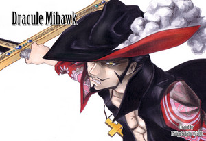  *Dracule Mihawk : One Piece*
