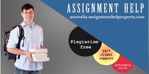  Assignment Help Example