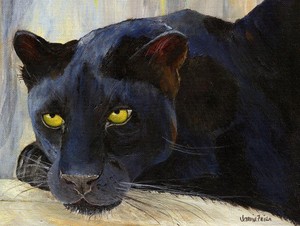  Black harimau kumbang, panther
