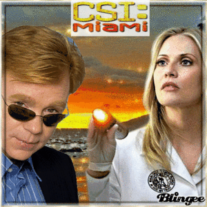  CSI: Miami