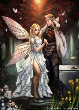  Fairy couple