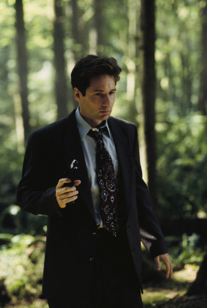  여우 Mulder