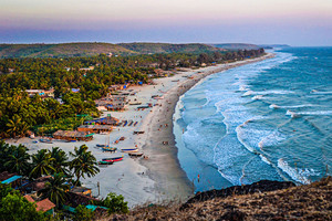  Goa,India