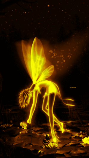  Golden fairy