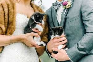  Kitty Wedding Attendants