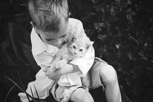  Little Boy And His Kitten