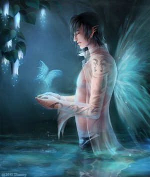 Male fairy