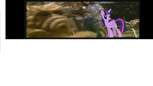  New guest comes from Equestria.JPG