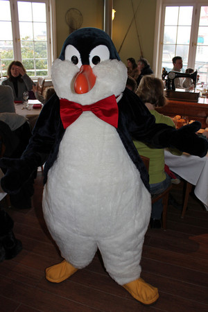  manchot, pingouin Waiters