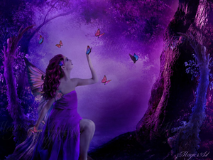  Purple Fairy