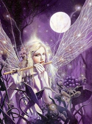  Purple Fairy
