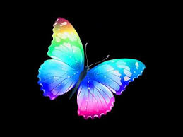  радуга бабочка