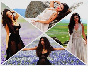  Selena Gomez - Come and Get It achtergrond