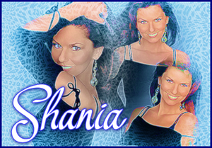  Shania Twain 5
