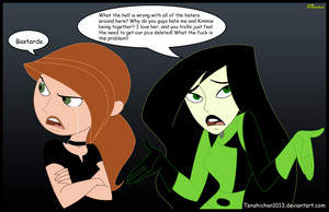  Shego addressing the haters