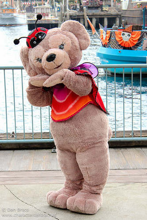  ShellieMay the Disney chịu, gấu