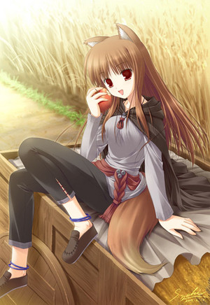  Spice and wolf