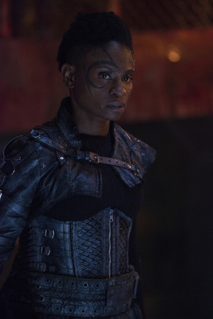  The 100 “The Warriors Will” (5x10) promotional picture