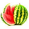  melancia ícone