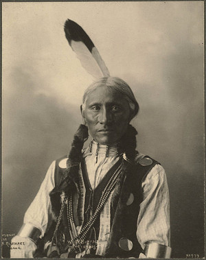  White Buffalo (Cheyenne) Photograph por F. A. Rinehart