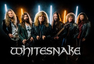  Whitesnake ✨