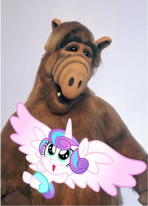  alf and flurry 心 由 shanealf1995 d9ze3ty