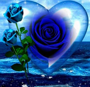  blue mawar