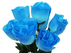  blue mawar