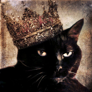  小猫 and crowns