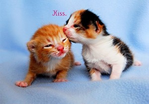  who wants a kiss?