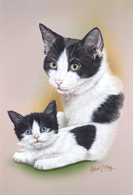  Cat And Kitten 