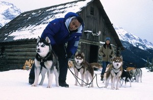  2002 Film, Snow Hunde