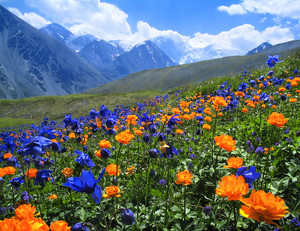  Altai Mountains, Russia