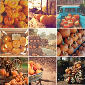  Autumn かぼちゃ, カボチャ Themed Collage
