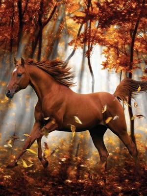  Beautiful Autumn Horse 🍂