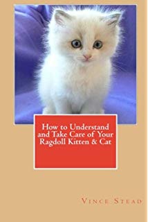  Book Pertaining To Ragdoll 子猫