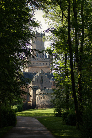  schloss in the forest