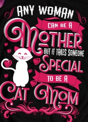  A Message For Cat Moms!