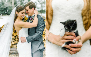  Cat Theme Wedding