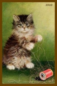  Brown tabby Cat art (1910)