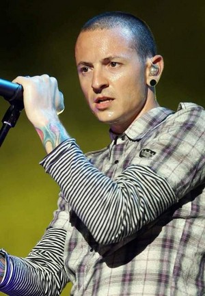 Chester🌹♥
