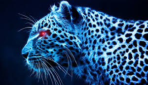 Cool Cheetah cheetah 37633431 300 173
