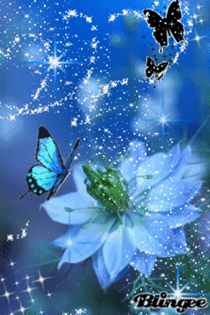  Glittery Schmetterlinge